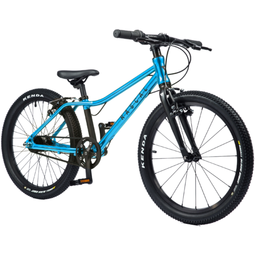 Detský ľahký bicykel RASCAL 20" (Modrá; Počet prevodov: 3 rýchlosti Shimano Nexus)
