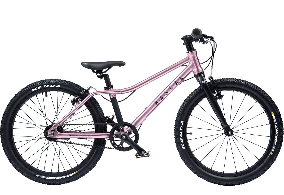 Detský ľahký bicykel RASCAL 20" (Ružová; Počet prevodov: 3 rýchlosti Sturmey Archer)