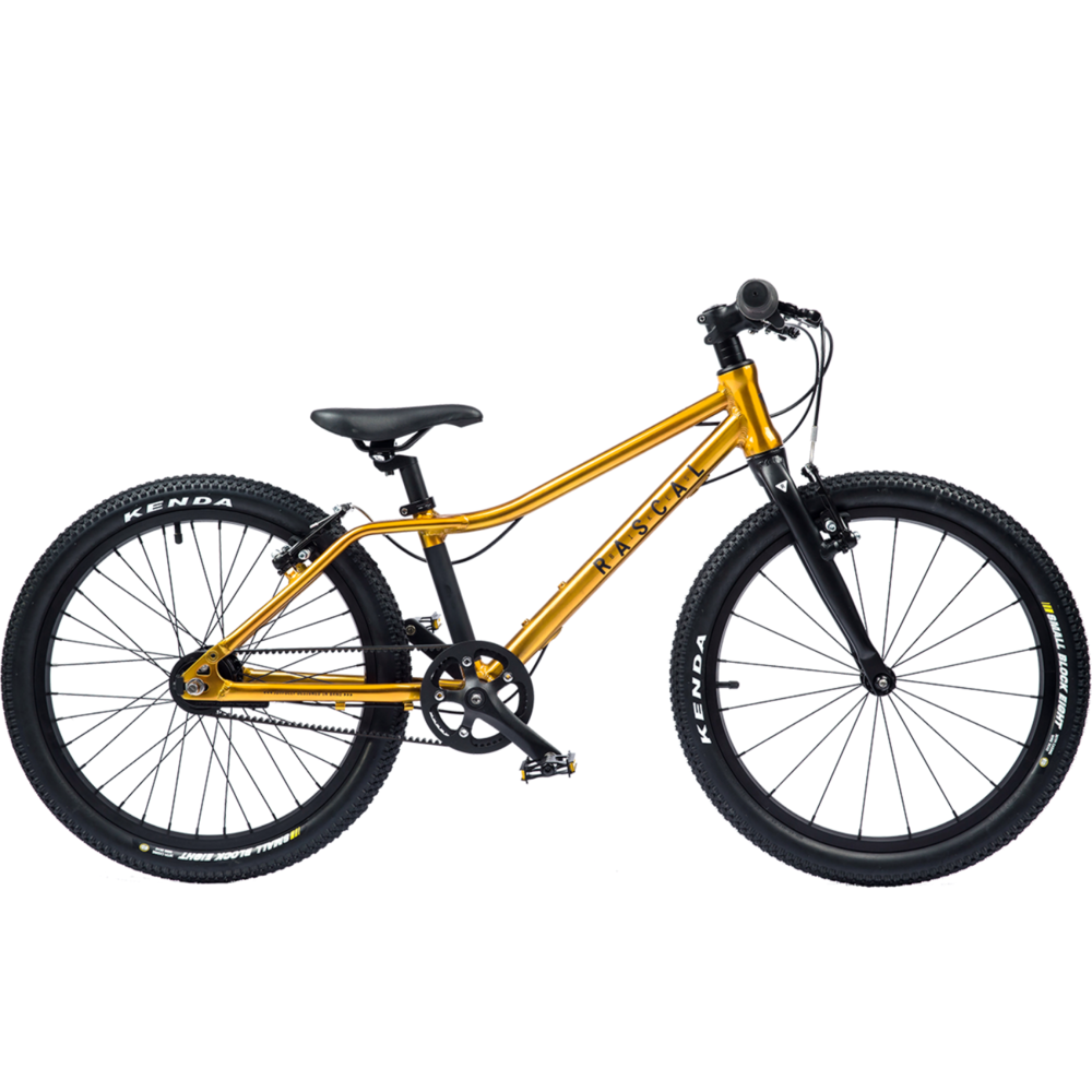 Detský ľahký bicykel Rascal 24 (FARBA: Gold)