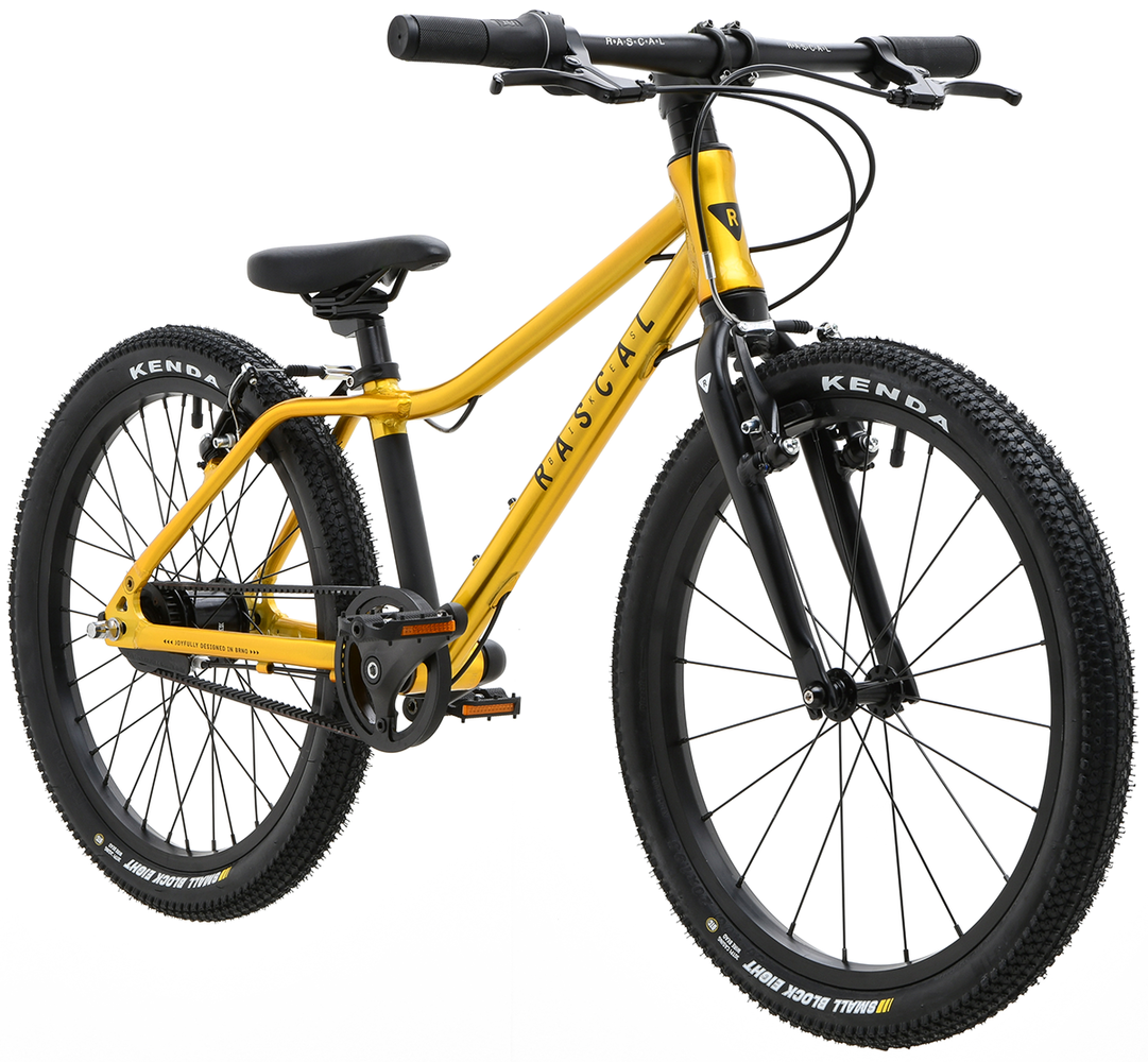 Detský ľahký bicykel RASCAL 20" (Zlatá; Počet prevodov: 3 rýchlosti Sturmey Archer)