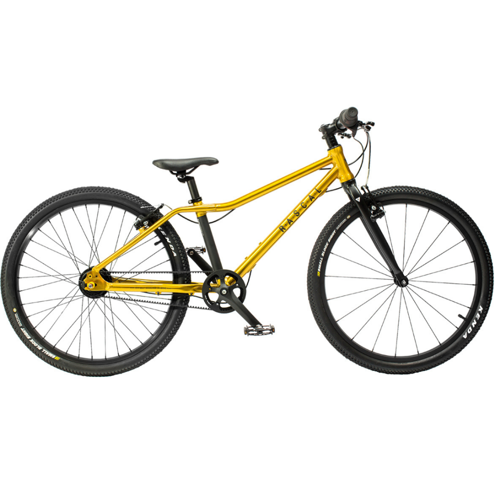 Detský ľahký bicykel Rascal 24" (FARBA: Zlatá; Počet prevodov: 3 rýchlosti Shimano Nexus)
